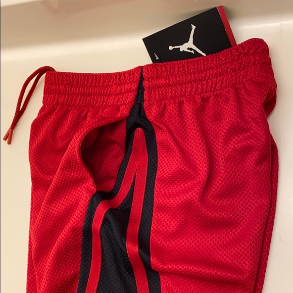 Jordan Shorts - Picture 7 of 13
